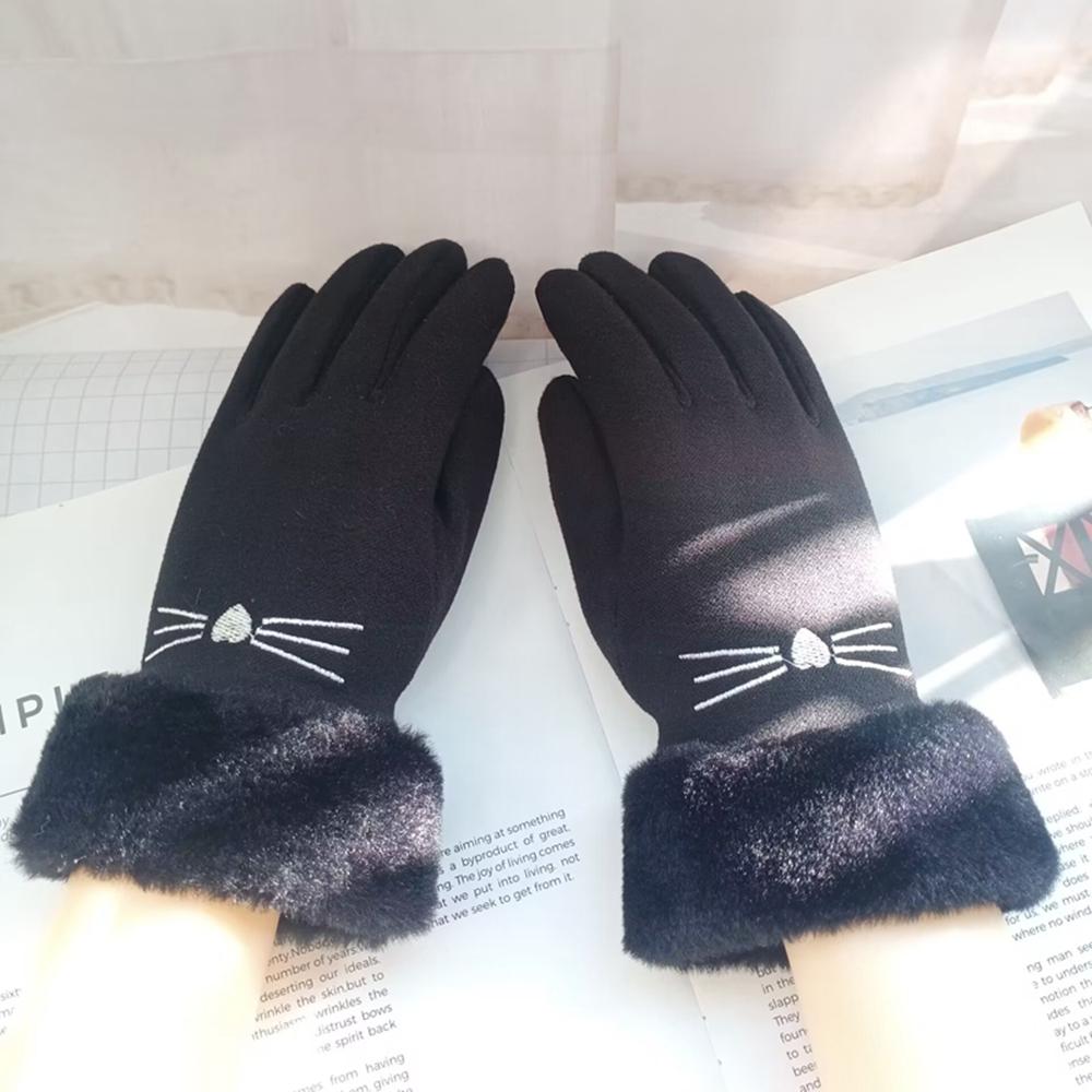 Ladies' Gloves That Can Touch the Screen in Autumn and Winter, Windproof and Cold Proof, and Outdoor Plush Warm Finger Gloves