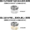 Audio-Technica AT6901ST Spike Insulators, Set of 6, Stainless Steel Spike Base Sold Separately