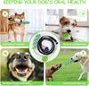 Interactive Dog Toy Tug of War Spring Rope Dogs Outdoor and Indoor Hanging Pull Rope Ball Puppy Molar Teeth Cleaning Chew Toys