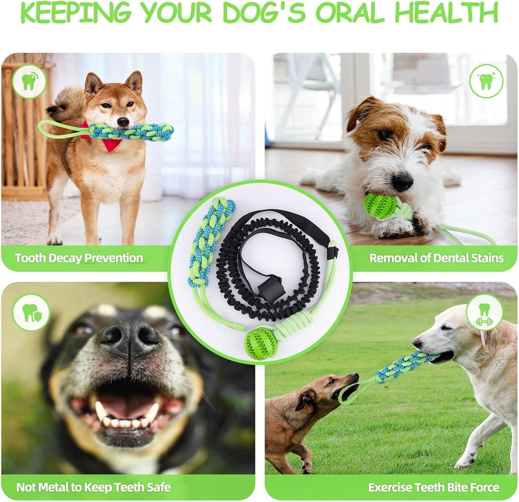 Interactive Dog Toy Tug of War Spring Rope Dogs Outdoor and Indoor Hanging Pull Rope Ball Puppy Molar Teeth Cleaning Chew Toys