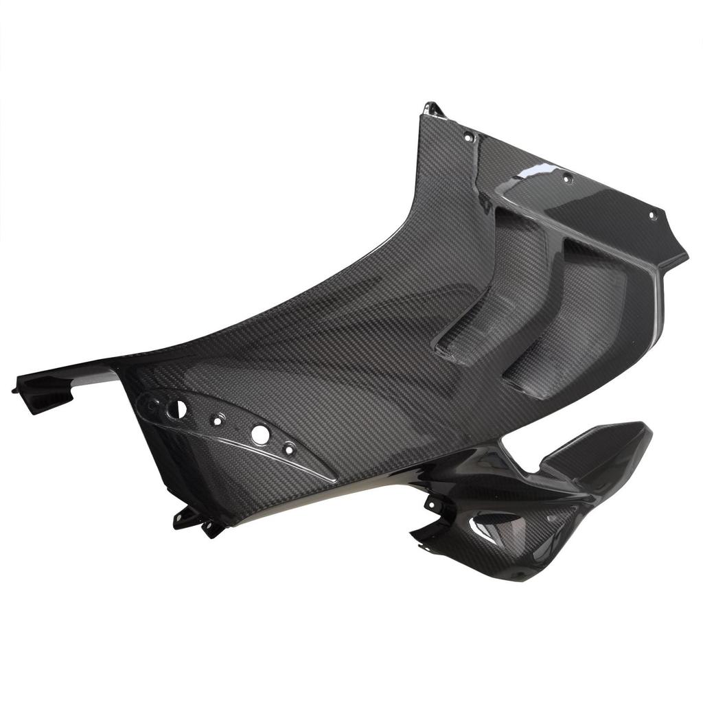 Ducati Panigale/V4 Series Carbon Fiber Headlight Side Panel Cover