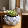 With Drainage Hole Plastic Nursery Pots 3D Printed Jewelry Storage Box Succulent Plant Pot  Yard