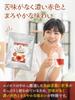 Top Smile Organic Rooibos Tea Pesticide-Free Non-Caffeine JP20 Grade Triangle Tea Bags 3g×30 Hot and Cold Brew