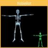 Premium Quality Luminous Hanging Human Skeleton Ideal For Halloween And Party Decor