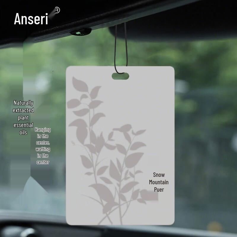 Anserui Car & Home Hanging Scented Tablets