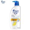 Head & Shoulders Anti-Dandruff Oil Control Shampoo