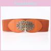 Fashion Ladies Wide Elastic Belt With Metallic Clasp For Business And Everyday Style