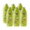 Daily Care Oil Control & Refreshing Shampoo - 6 X 170g Pack