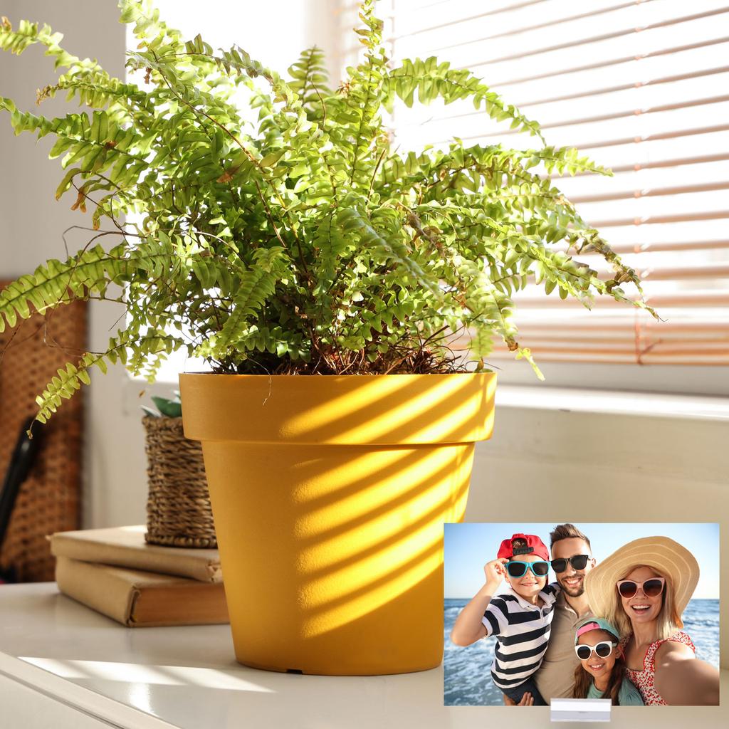10/20pcs Place Card Holder Acrylic Table Sign Holder Table Number Holders Name Card Stands for Photo Menu Display Clear