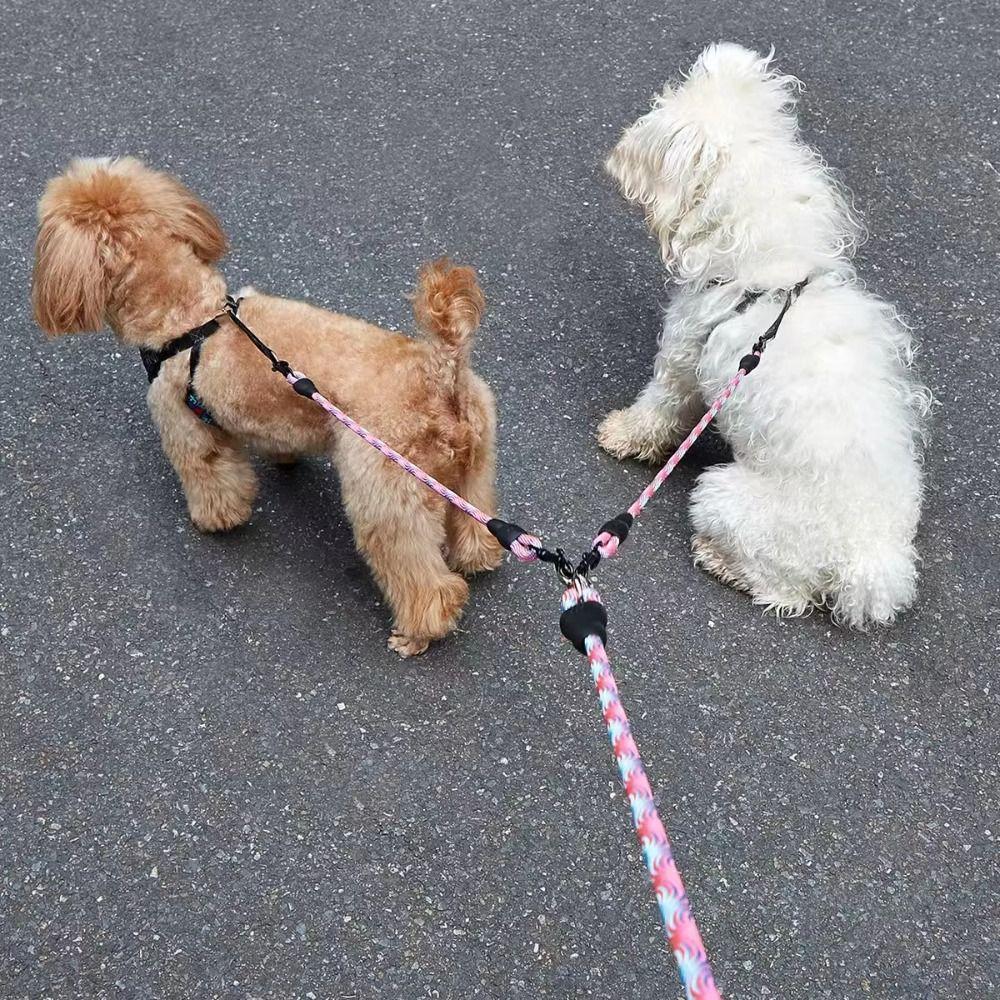 Removable Double Head Dog Rope Anti-Winding Dual Dog Leash Pet Walking Rope  Outdoor Walking