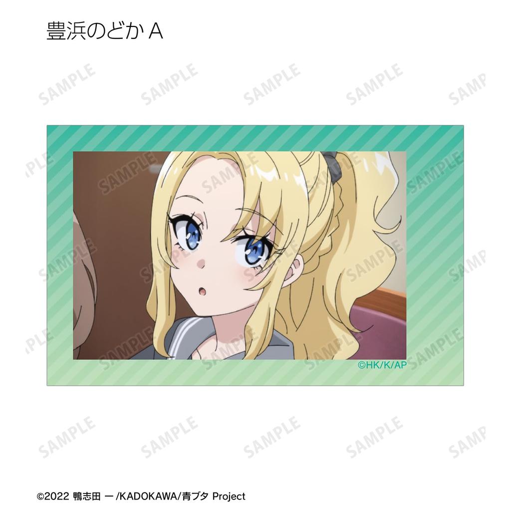 Rascal Does Not Dream of a Dreaming Girl trading instant camera style illustration box of 12 cards,