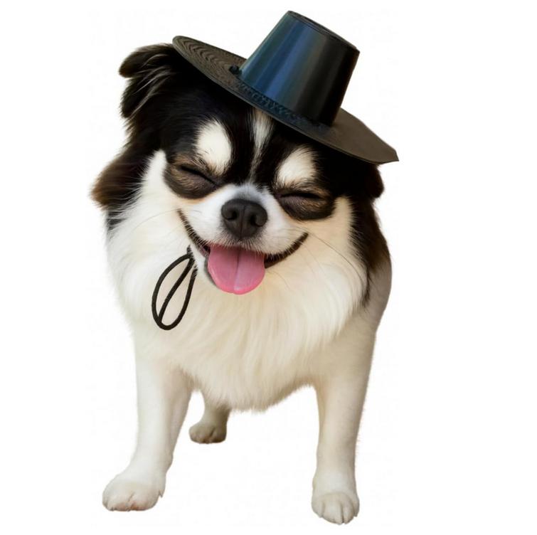 

Made in Korea | Korean Traditional Dog Hat Gat – Adjustable Pet Costume for Small and Medium Dogs K-POP Demon Hunters Hat