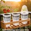Lazyman Automatic Watering Clear Seedling Growing Box Flower Pot Observe Root Growth Easy Fill Home Office Decor Plant Container