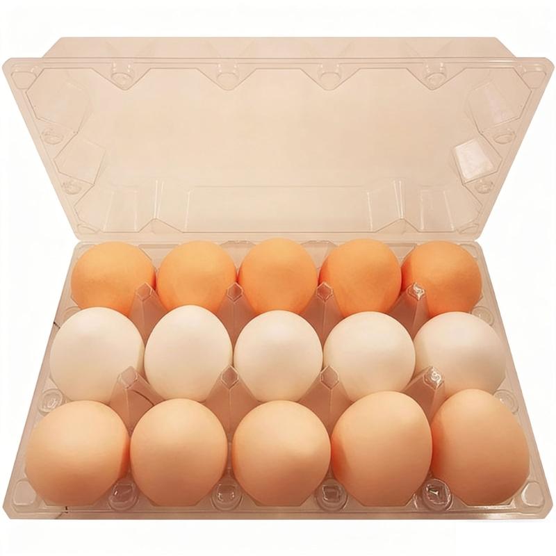 

15PCS Slow Recover Simulation Eggs TPR Component Funny Prank Gadgets Decompression Toy for Car Decors And Stress Relief 1