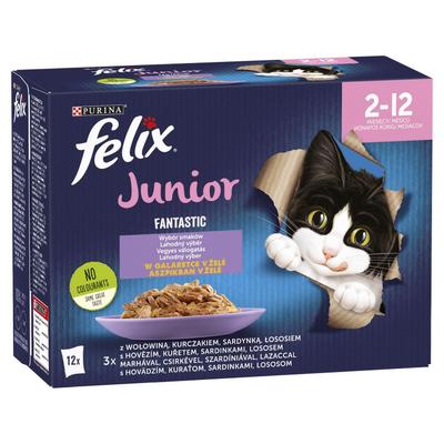 Felix Fantastic Junior Karma Dla Kociąt Wybór Smaków W Galaretce 1,02 Kg (12 X 85 G)