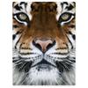 Realistic Tiger Skin Blankets Flannel Textile Decor Animal Print Skin Animal Portable Warm Throw Blankets for Bed Rug Piece King