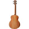 Tenor Ukulele ANueNue Hawaiian Dream Africa Mahogany III aNN-T30