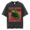 The Horrors Are Never Ending Yet I Remain Silly T-shirt Funny Japanese Style Frog Retro Washed T Shirt Men's Oversized Tees Tops