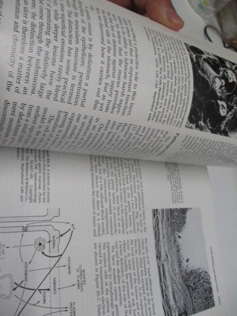 [USED] Hospital Disposal Book Gastroenterology 2 Fourth Foreign Book