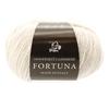 Puppy Yarn Color Autumn/Winter "FORTUNA 2110"