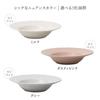 EAST Table Fina Mino Ware Soup and Pasta Diameter X Made In Microwave and Dishwasher Product Number Dish, Large, Gray, 22.7cm 5.1cm Height, Japan,