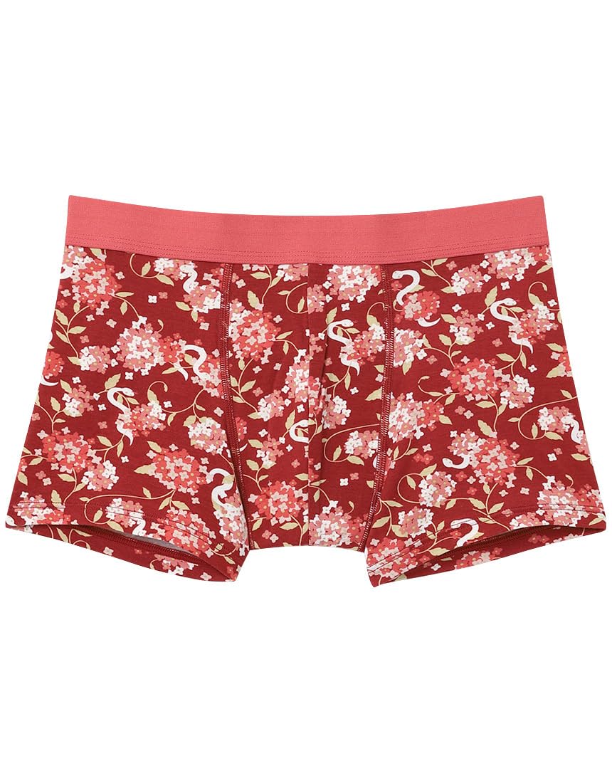 

Unnanacool Men s Boxer Briefs, Soft to the Touch [New Year s Gift Lucky Snake Design], Front Closure, LF8053 RE L