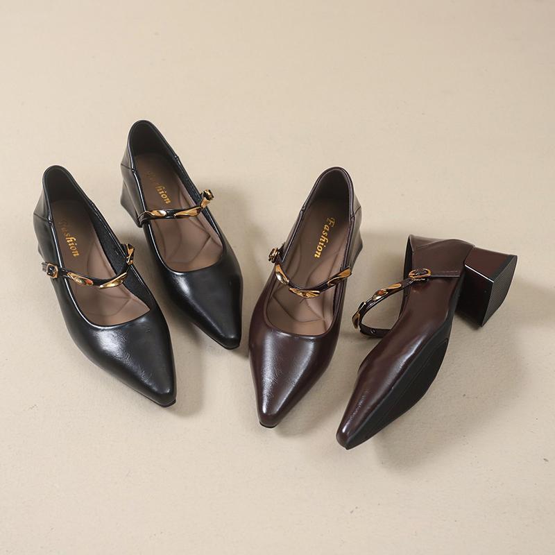 Fashion New Women's Designer Vintage Pointed Toe Women Mary Jane Shoe Fashion Shallow Buckle Shoes Ladies Elegant Dress Thick Heel Shoes