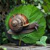 Retro Metal Snail Wall Decor,Weatherproof Aluminum Sign Outdoor Garden Art Ready To Hang