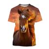 Summer Hot Selling Fashion Animal Horse 3D Printing Print Neutral Casual Harajuku Style Comfortable Short Sleeved Top