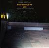 USB Rechargeable LED Work Light: Emergency Maintenance Torch with Magnet & COB Inspection Feature