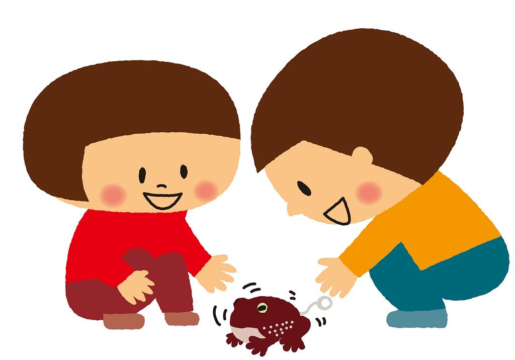 Iwaya Ecokoe Frog (Amefukura Frog) ST Mark, Ages 3 and Up, Sound-Emitting Plush Toy, Wind-Up Toy, No Need for Replacement