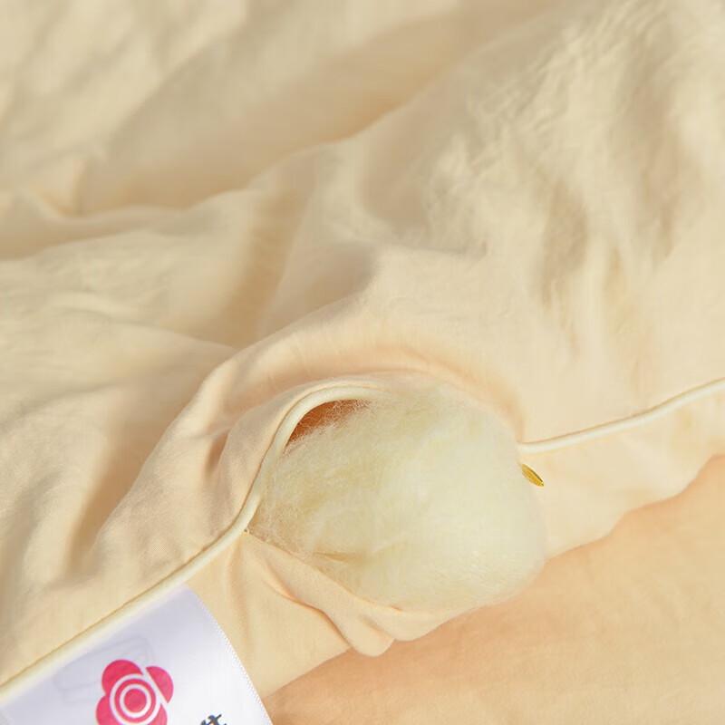 Jie Li Ya Super Soft Soybean Antibacterial Duvet