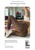 Leopard Print Tummy Control Yoga & Running Pants with Butt Lifting Feature