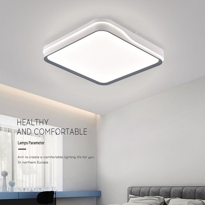 Modern LED Ceiling Light for Living Room and Bedroom