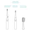 Goldfish Sonic Electric Toothbrush Head UW-01 Series Replacement Toothbrush Head
