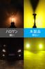 H11 Led Fog Lamp Yellow Explosive Light Vehicle Inspection Compatible