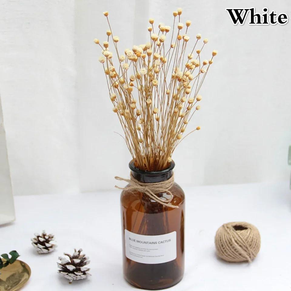 50 Bouquets of Brazilian Lucky Flowers Preserved Flowers Natural Real Small Dried Flowers Bouquets