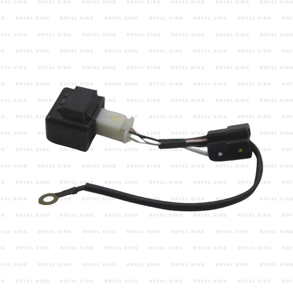 Royal Enfield Interceptor & Gt 650 "Silver LED Indicators"