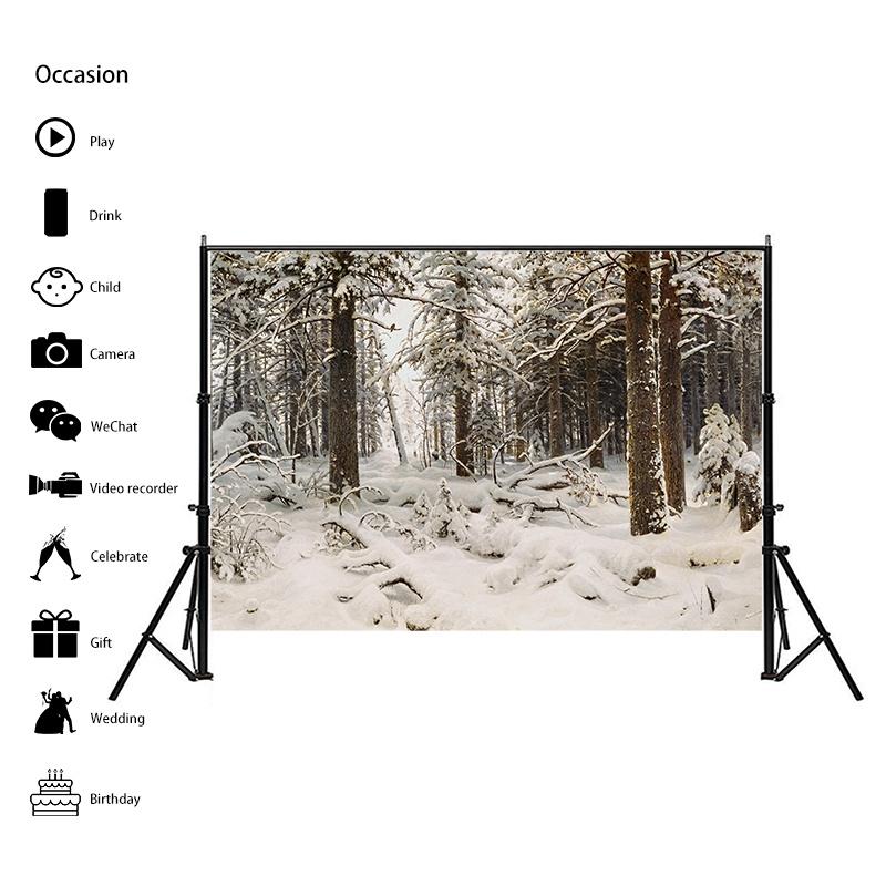 Winter Theme Snow Scene Background Nature Landscape Sky Snowflake Christmas Portrait Prop Party Decoration Banner