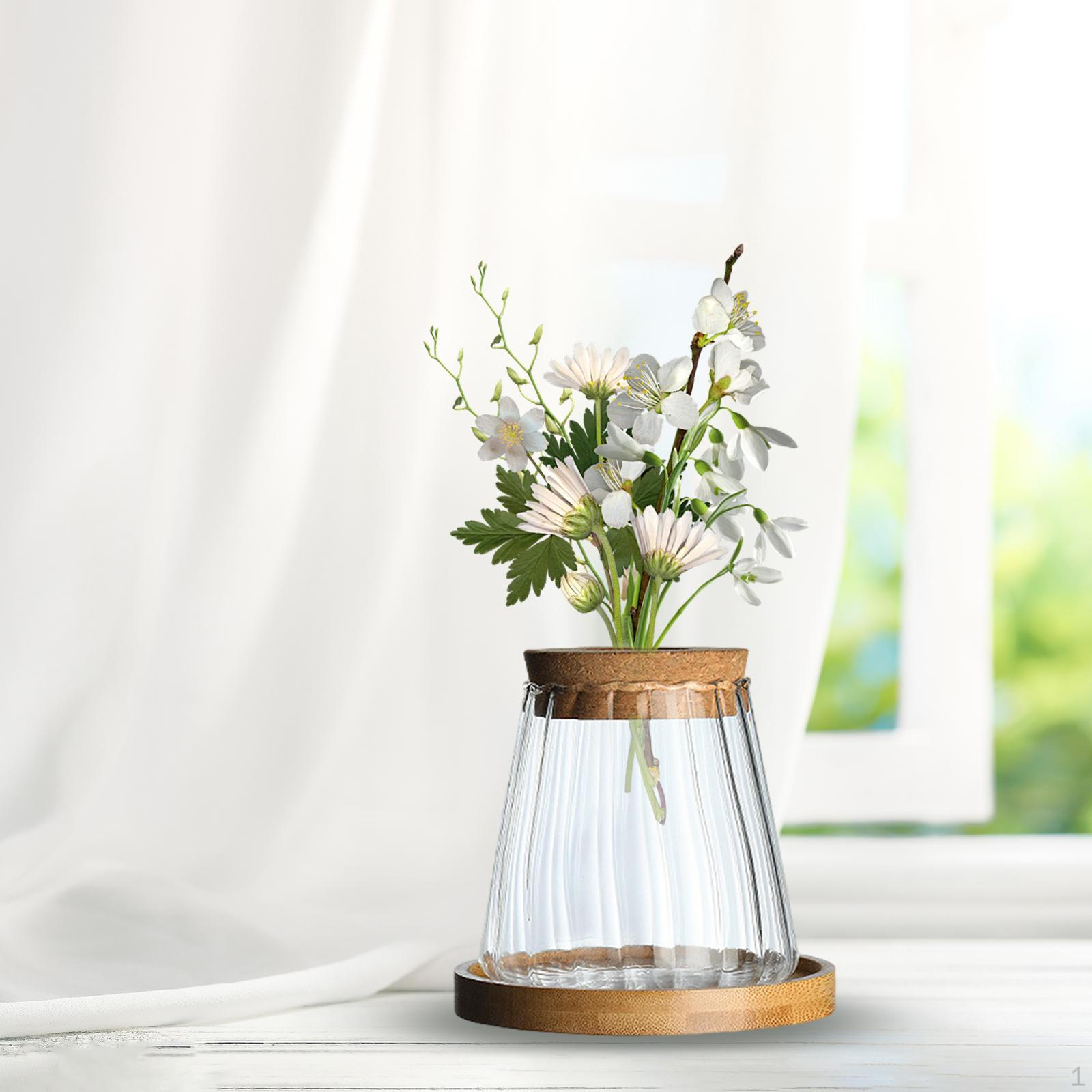 

Desktop Glass Planter Vase Hydroponic Water Planting Bud Plant Bottle for With Tray Vertical