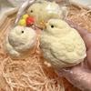 Cheese Hamster Squeeze Toy Anxiety Relief Slow Rising Yellow Chick Pinch Sensory Toy Stress Ball Fidget Toy Party Favors