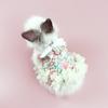 Pet Rabbit Dress Breathable Small Animal Harness Vest and Leash Set Escape Proof Cute Costume for Small Hedgehog Hamster