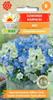 Carpathian Bellflower Mix Flower Seeds for the Garden