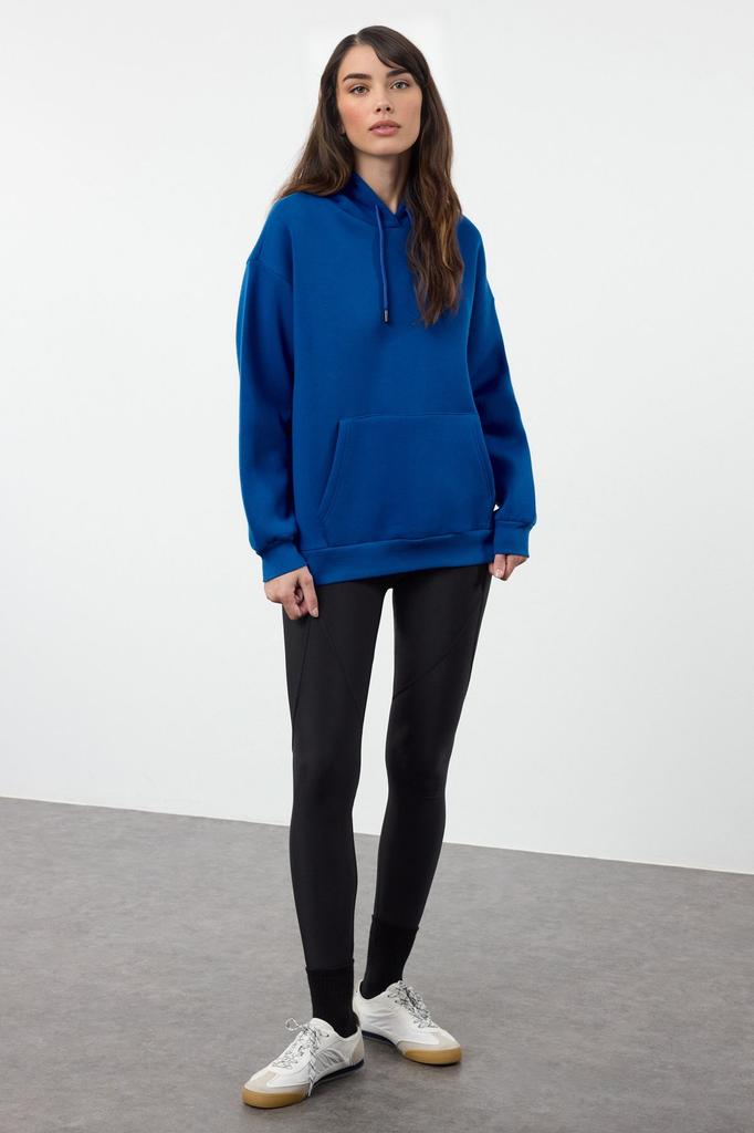 Women's Fashionable Stylish Sweatshirt Mink Thick Fleece Inside Oversize Wide Fit Hooded Basic Knitted Sweatshirt