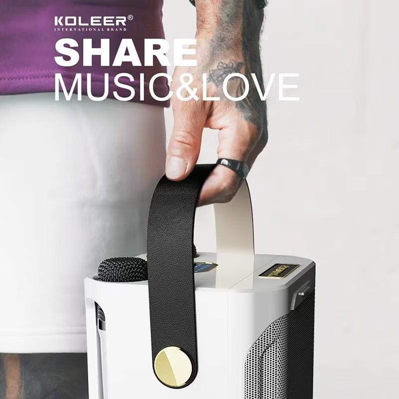 S882 Outdoor Bluetooth Speaker & Microphone KTV Set with Subwoofer