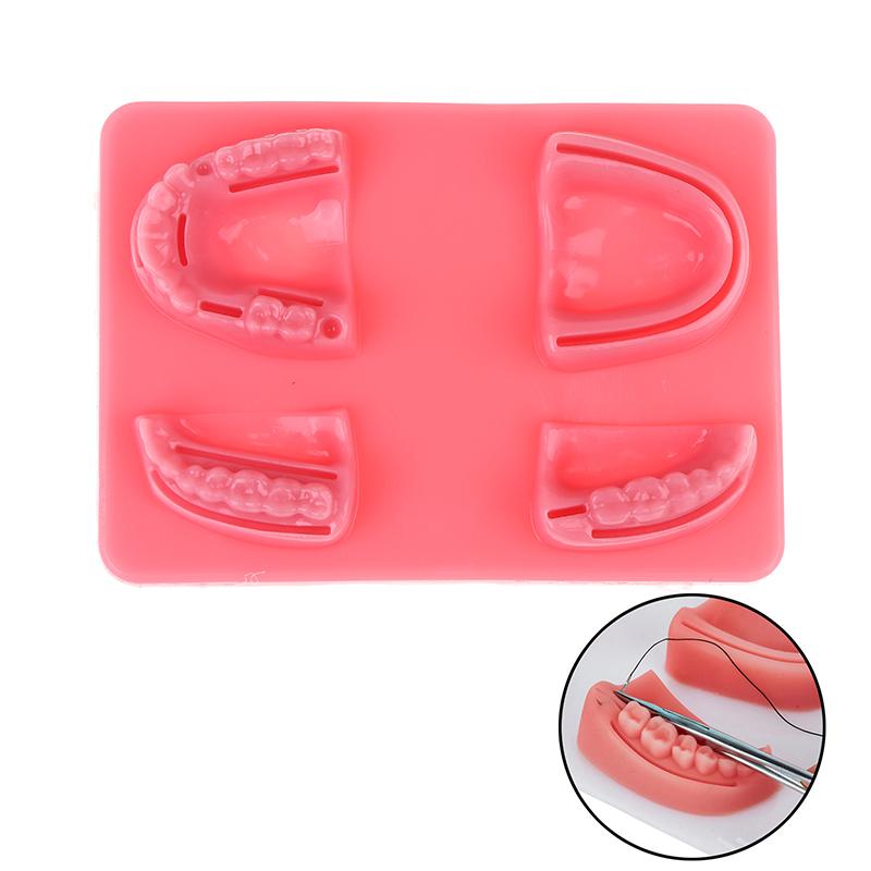 Zahnfleisch Haut Naht Chirurgische Übung Medizinische Hautnaht-Auflage Labor Modell Silikon Parodontitis Naht Modell Trainings-Set