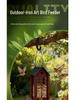 Comedouro Popular de Pássaros em Ferro: Decoração Criativa para Jardim ao Ar Livre
