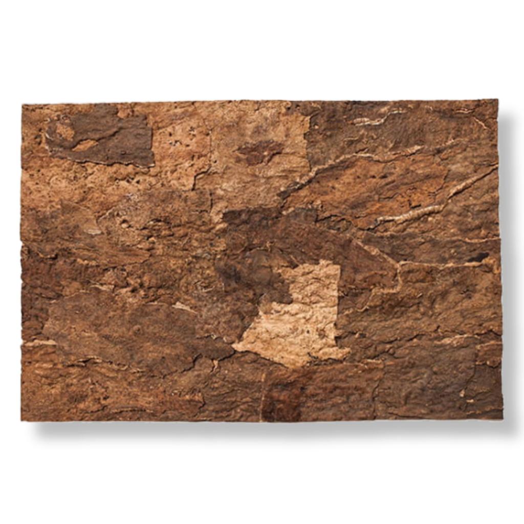 BioVirgin Cork Background Brown 30x30cm cork background for terrariums