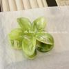 2024 High-End Elegant Frangipani Gradient Hair Claw: Colorful Shark Clip for Women