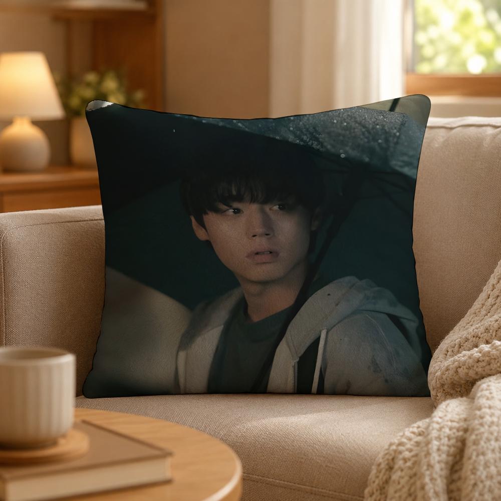 Series Weak Hero Class One Cushion Cover Personalized Short Plush Cushion Cover Sofa Pillowcase Bedroom Home Decor Gift